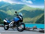 SUZUKI DL 650 V-STROM